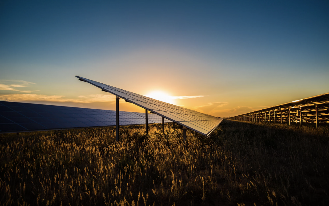 Zonnepark verdringt landbouw